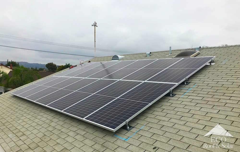 Slide of Eco Systems