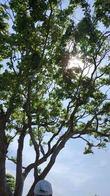 Sylvan Beach Park by null