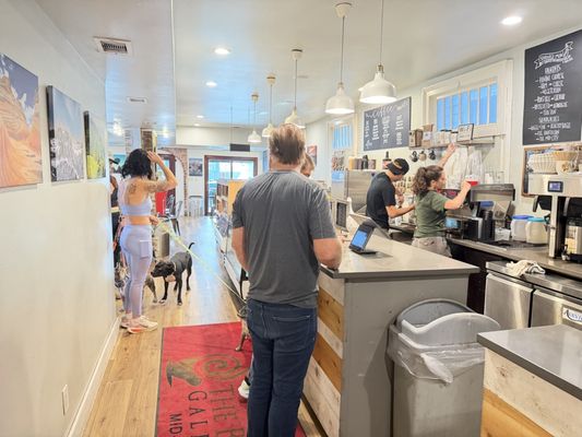 The Bean Gallery by null