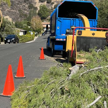 LA Arbor Care - job site set up - Tree Services Near Me - Winnetka, California