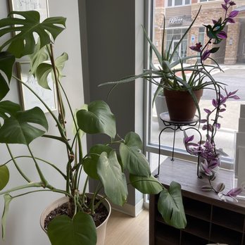 The Nest Movement Studio - Yoga Near Me - Elkridge, Maryland