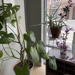 The Nest Movement Studio