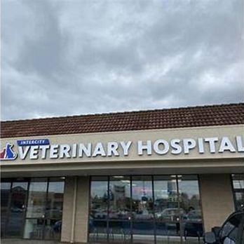 Intercity Veterinary Hospital - Veterinarians Near Me - Everett, Washington Intercity Veterinary Hospital - Veterinarians Near Me - Everett, Washington