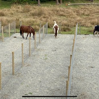 Midnight Mountain Stables - Private runs off stalls - Horse Boarding Near Me - Roy, Washington Midnight Mountain Stables - Private runs off stalls - Horse Boarding Near Me - Roy, Washington