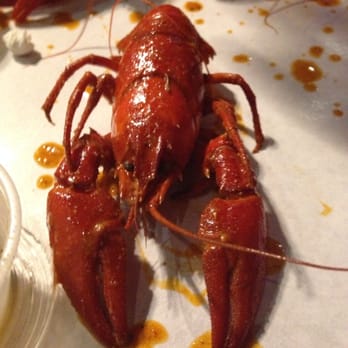 Backyard Bayou - Crawfish - Cajun/Creole Near Me - Union City, California Backyard Bayou - Crawfish - Cajun/Creole Near Me - Union City, California