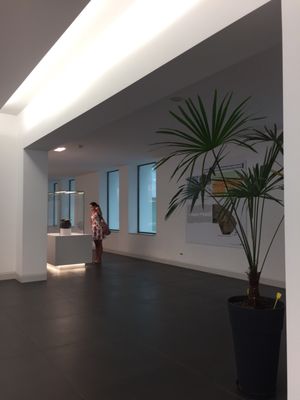 Museo Archeologico Nazionale di Reggio Calabria by null