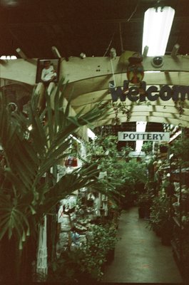 Adams & Son & Daughter Gardens by null