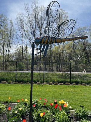 Green Bay Botanical Garden by null