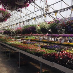 Campbell Greenhouses - Inside the greenhouse.