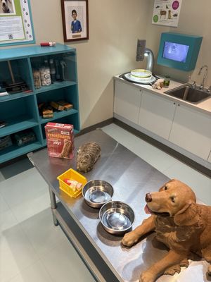 Fort Bend Children's Discovery Center by null