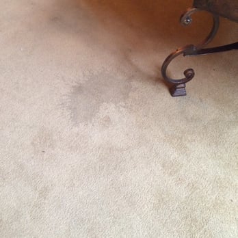 The Ansonborough - Stained carpet - Hotels Near Me - Charleston, South Carolina