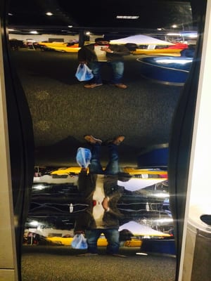 We The Curious by null