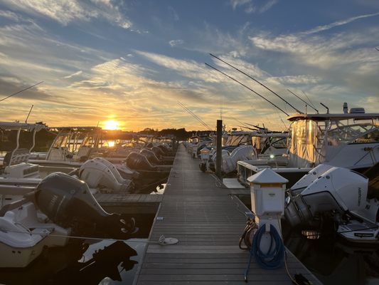 Summer Shanty by null