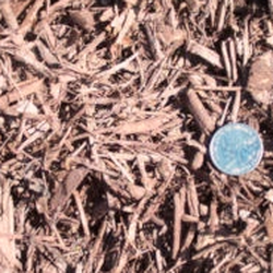 Mahogany Color-Enhanced Chips