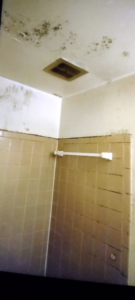 Slide of Hamblins Major Minor Solutions