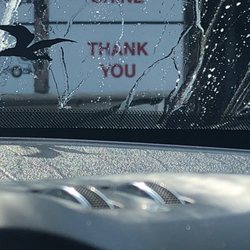 Rapid Car Wash - Flying dragons