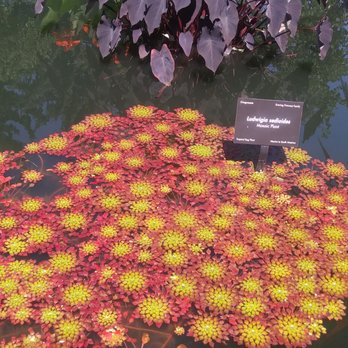 Denver Botanic Gardens - Botanical Gardens Near Me - Denver, Colorado Denver Botanic Gardens - Botanical Gardens Near Me - Denver, Colorado