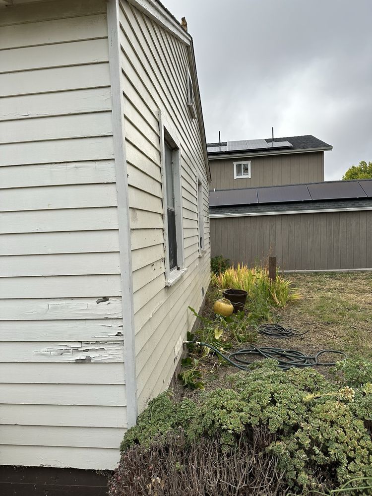 The Tree Solution Corporation - tree service in El Sobrante, CA