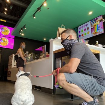 Insta Bolz - Dog friendly! (Waiting for her pupp-a-cino) aka whipped cream cup - Juice Bars & Smoothies Near Me - Ottawa, Ontario