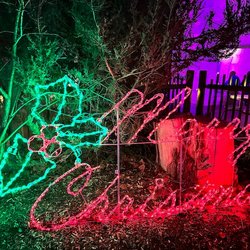 Zoo Lights