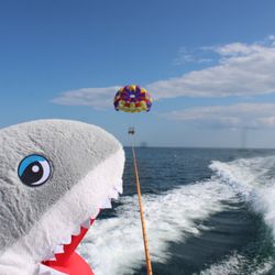 Hampton Beach Parasail & Paddle Board - Looking for some shark bate LOL