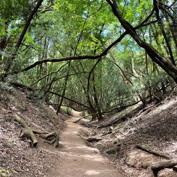 Rancho San Antonio Preserve - Love it - Parks Near Me - Los Altos, California Rancho San Antonio Preserve - Love it - Parks Near Me - Los Altos, California