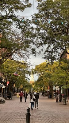 Church Street Marketplace by null