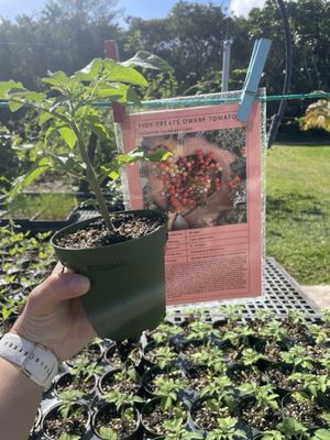 Little River Cooperative by null