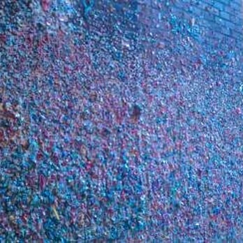 The Gum Wall - Local Flavor Near Me - Seattle, Washington