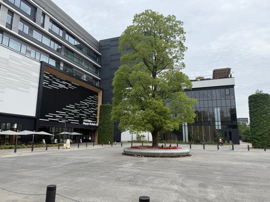 Noritake Garden by null