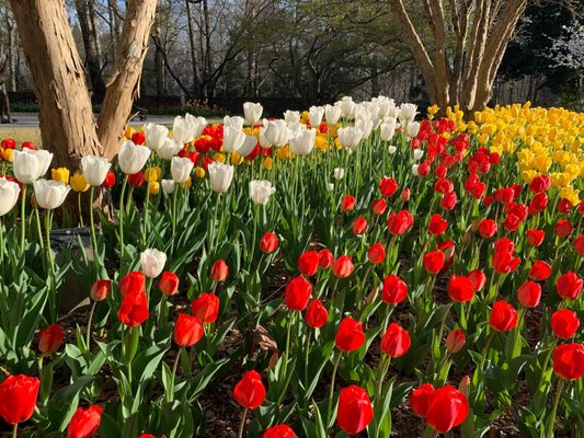 The State Botanical Garden of Georgia by null