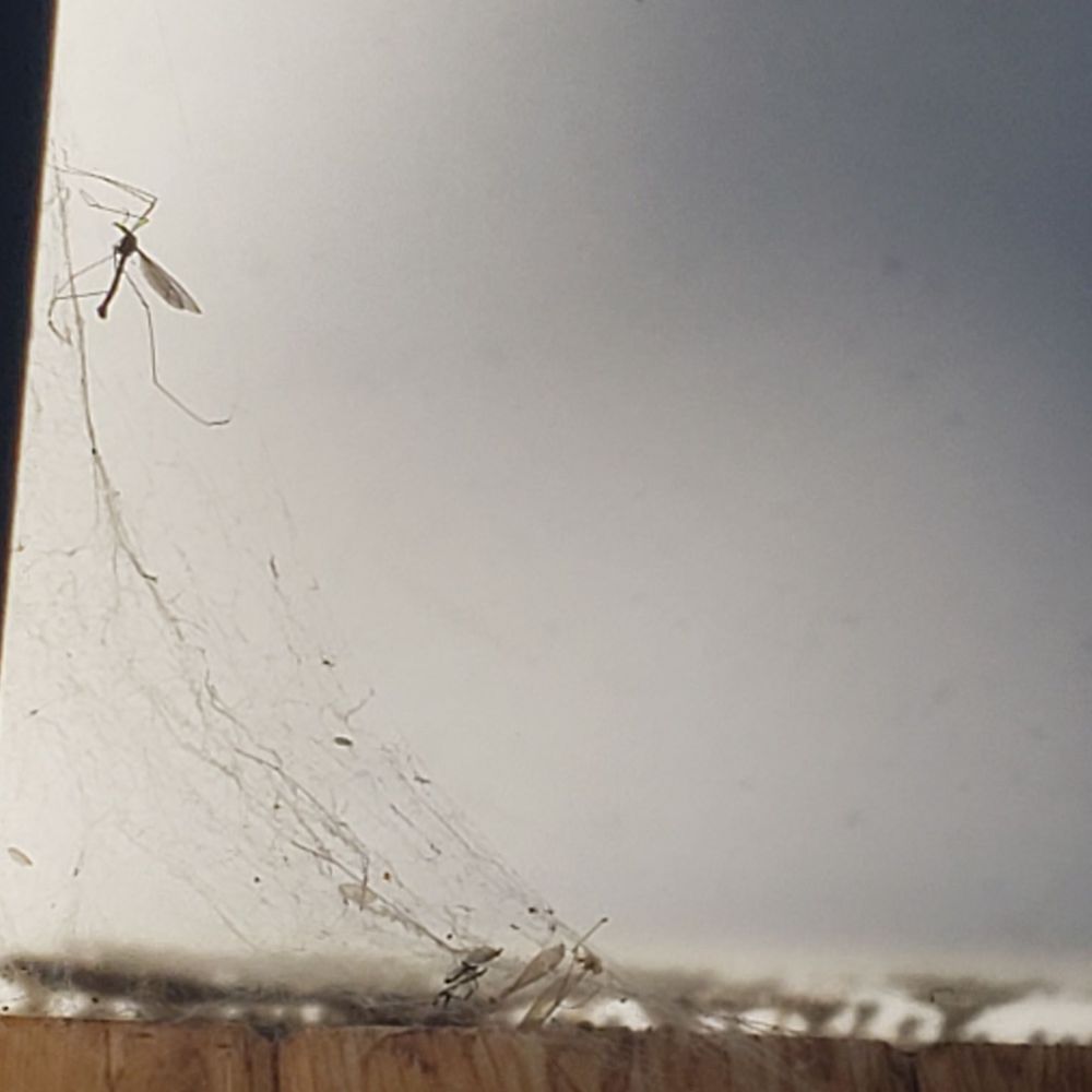 Ireland's Rustic Lodges - Cobwebs in the skylight above bathroom sink. - Hotels Near Me - Gold Beach, Oregon Ireland's Rustic Lodges - Cobwebs in the skylight above bathroom sink. - Hotels Near Me - Gold Beach, Oregon