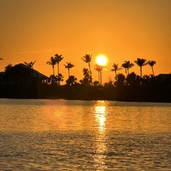 Lemon Bay Tours - Sunset