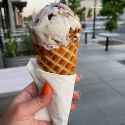 Ice Cream Waffle Cone