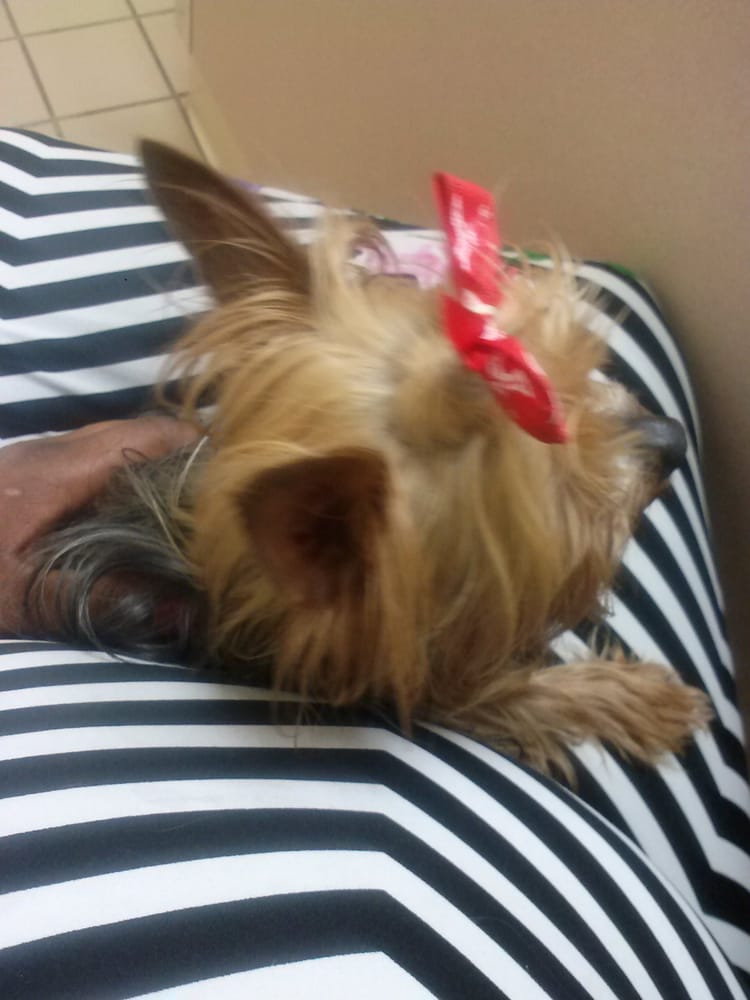 UNION CITY VETERINARY MEDICAL CENTER & EMERGENCY CLINIC Updated