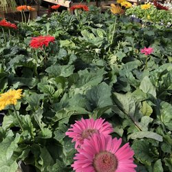 Warren Family Garden Center & Nursery