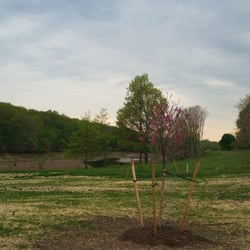 Spring color.
