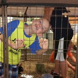 Arizona Feeds Country Stores - My son in the rabbit area.