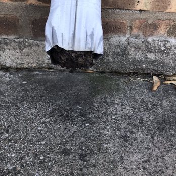 Hernandez Home Improvement - Downspout was very clogged. - Window Washing Near Me