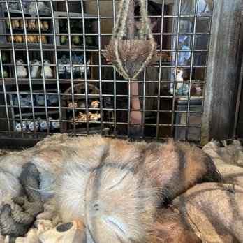 Creature Stall - Gift Shops Near Me - Anaheim, California