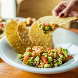 Roja Mexican Grill