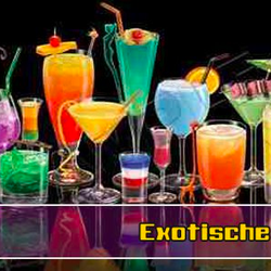 Los Locos - Cocktailbar & Shishalounge