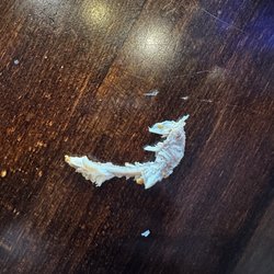 SportsBook - The bone in my two-year-old granddaughters, chicken, tender