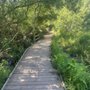 Creeks to Peaks Trail
