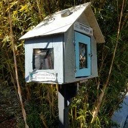 Little Free Library