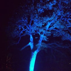 Art in the Dark - Blue tree