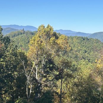 Point Lookout Vineyards - View - Wine Tasting Room Near Me - Hendersonville, North Carolina Point Lookout Vineyards - View - Wine Tasting Room Near Me - Hendersonville, North Carolina