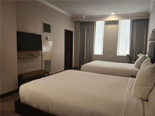 Wyndham Garden Baronne Plaza New Orleans by null