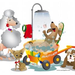 Beauty In Motion Mobile Dog Grooming