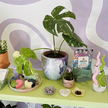 Plant Slut - Home Decor Near Me - San Jose, California